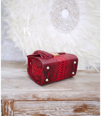 Ashley Genuine python leather bag in red