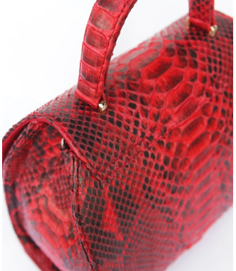 Ashley Genuine python leather bag in red