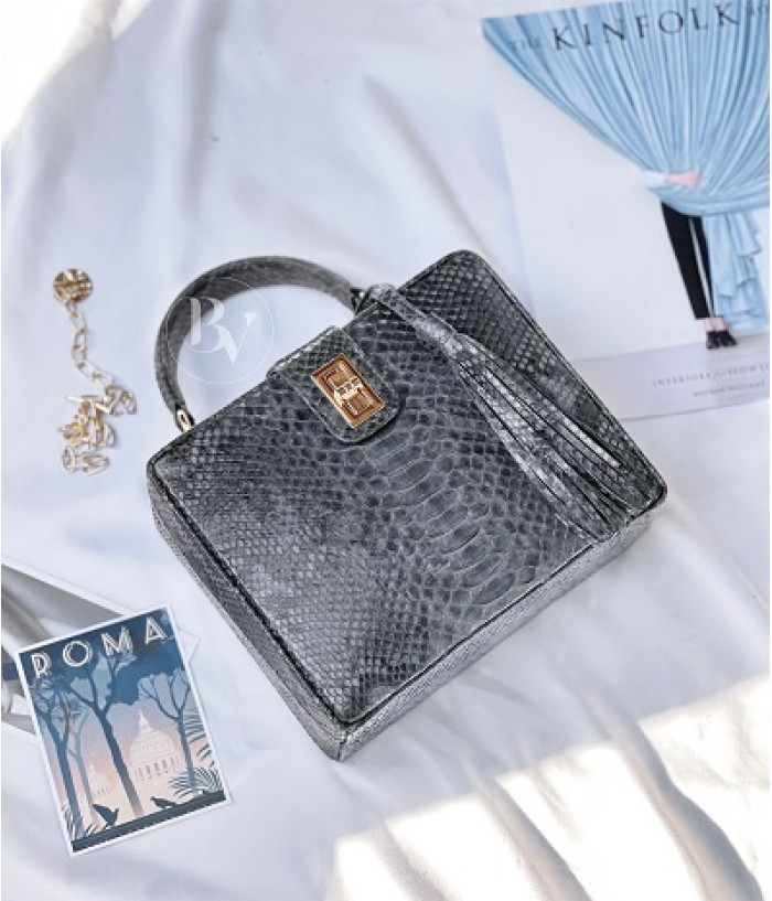 Richet Genuine python leather bag  in grey + 40 colors