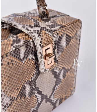 Richet Genuine python leather bag  in grey + 40 colors