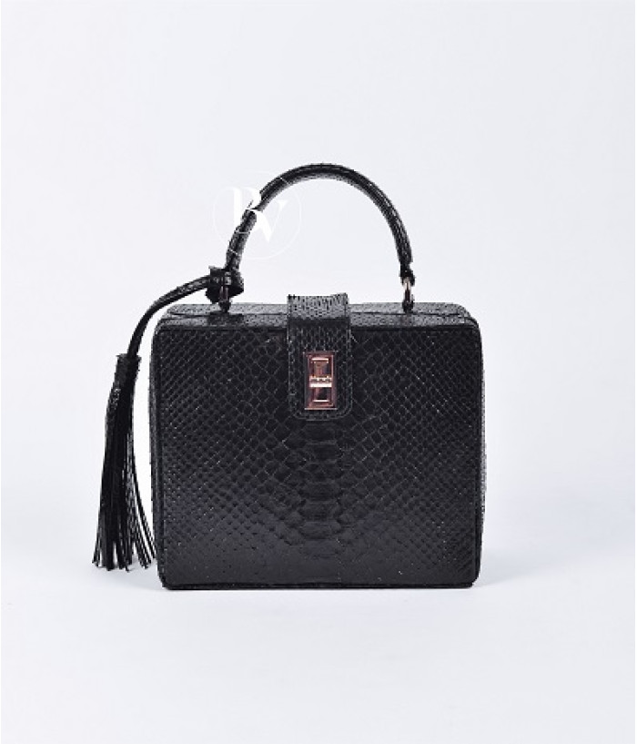 Richet Genuine python leather bag  in black glossy + 40 colors