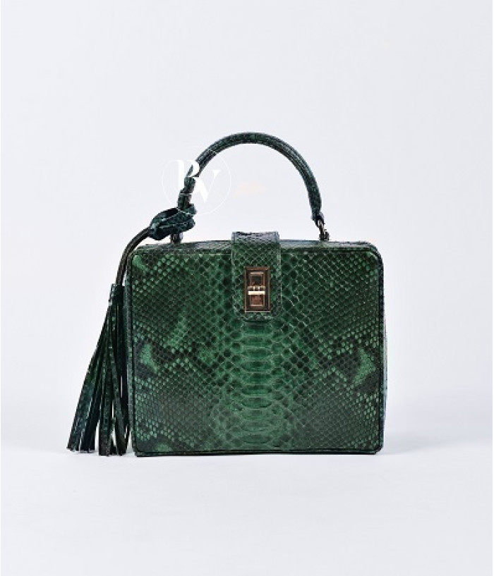 Richet Genuine python leather bag  in green + 40 colors