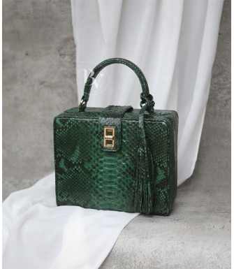 Richet Genuine python leather bag  in green + 40 colors